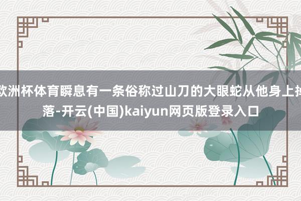 欧洲杯体育瞬息有一条俗称过山刀的大眼蛇从他身上掉落-开云(中国)kaiyun网页版登录入口